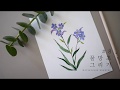 물망초 수채화 그리기 (Forget-me-not Watercolor Drawing)