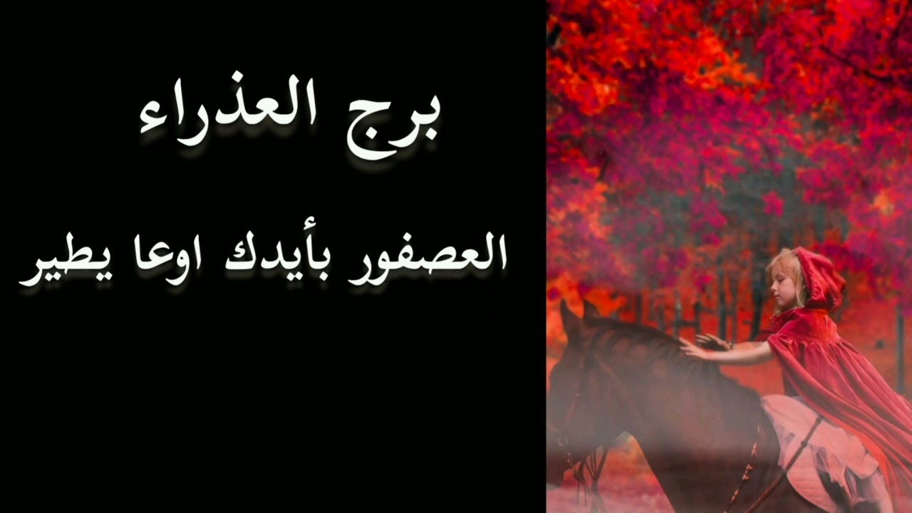 برج العذراء* هدوء قبل العاصفة/العشرة الايام الاولى يونيو2024