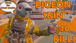 I Became a Pigeon in CODM... and GOT A 40 BOMB?