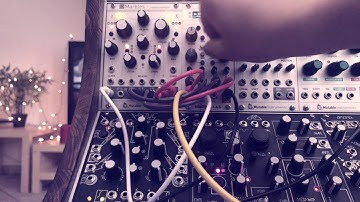 A day off with Plonks and Marbles