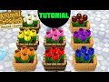 Animal crossing pocket camp - TULIP GUIDE (all the tulips explained!)