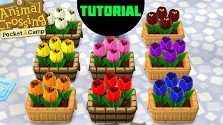 Animal crossing pocket camp - TULIP GUIDE (all the tulips explained!) screenshot 4