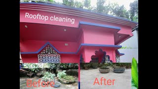 Bengali Blog Cleaning Vlog Gardening Gardening