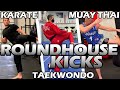 How Different Martial Arts ROUNDHOUSE KICK | Muay Thai / Taekwondo / Karate