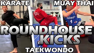 How Different Martial Arts ROUNDHOUSE KICK | Muay Thai / Taekwondo / Karate