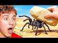He Flipped 100 Rocks In Australia... He Found this..