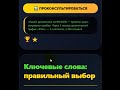 Продвижение в Яндексе