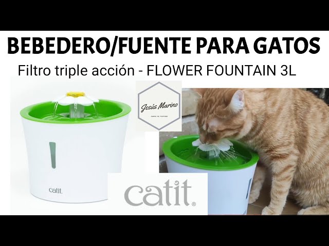  Catit Fuente con flores: bebedero de 3 litros con filtro de  triple acción : Productos para Animales