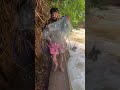 @KlSultanofficial 🐟🐟🐟🐟#fishingmalayalam #shortvideo #shorts #short #🐟🐟🐟🐟
