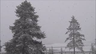 Yellowstone Ice & Snow
Yellowstone Ice & Snow Yellowstone Ice & Snow
