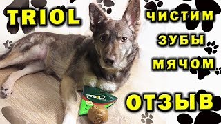 Кости TRIOL ⚽ Форма Мячик ❤ Зубная щетка для собаки Кости TRIOL ⚽ Форма Мячик ❤ Зубная щетка для собаки