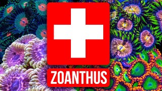 The Zoanthus Troubleshooting Guide