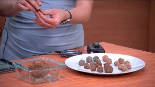 How to make wildflower seed bombs