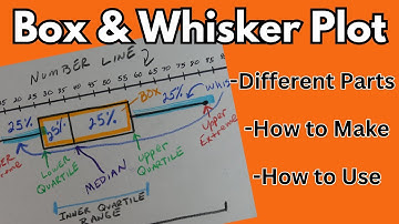 Box and Whisker Plot