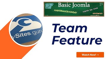 Introducing the Team Feature on mySites.Guru