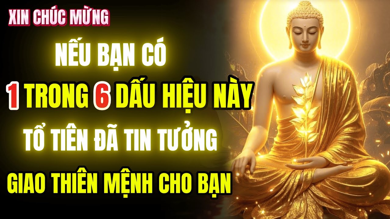 Outline Video 6 Dấu Hiệu Bạn Được Gia Tiên Chọn Gánh Phúc – Gánh Nghiệp: Khổ Trước, Hưởng Phước Về Sau