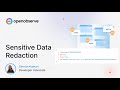 Sensitive Data Redaction with OpenObserve