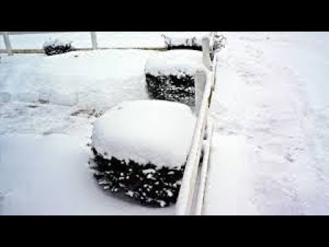 4колеса After The Snowstorm 4K
