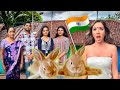 House rabbit makeover india   disabled bunny needs help  episode 10