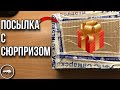 РАСПАКОВКА ПОСЫЛКИ НЕ С МУРАВЬЯМИ // ПОДАРОК ВНУТРИ // AntKeeper