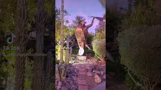 the mission old town scottsdale 2024