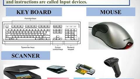 Class 4 - Computer Science - July Video 1 on Lesson 1 Input Output Devices