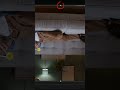 How To Rotate A Video | PowerDirector
