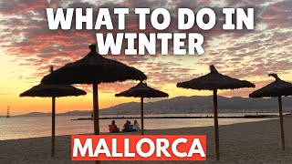 What to do in Mallorca in the Winter screenshot 5