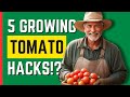 5 game changing hacks for growing bigger juicier tomatoes