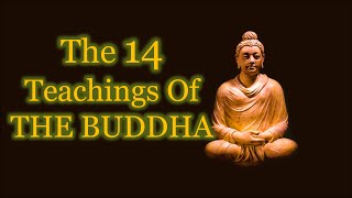 Buddha quotes | The Fourteen Teachings Of The Buddha