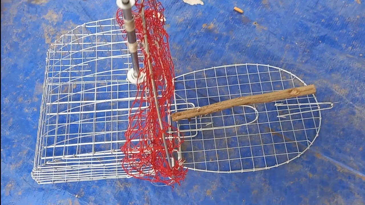 cách làm lụp bẫy chim cu gáy đơn giản hiệu quả từ lưới Chì Minh Ngọc 07 8695 2072