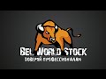 BelWorldStock - инвестиции будущего (вебинар от 28 мая 2015)