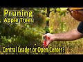 Training and Pruning Apple Trees – Central Leader or Open Center? | Pruning Fruit Trees