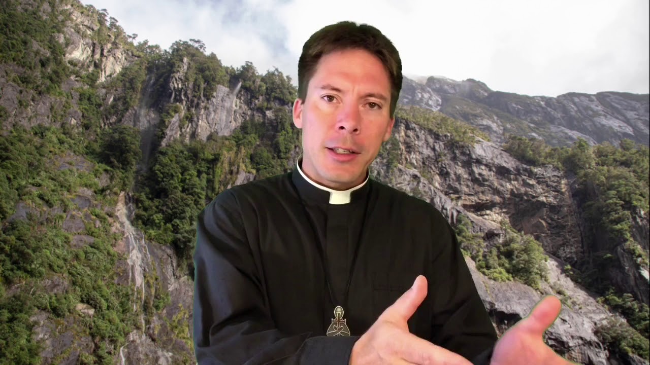 Fix your face! - Fr. Mark Goring, CC - YouTube