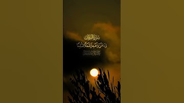 تلاوة نادرة لأول مرة، المقام الصادح بصوت الشيخ علي جابر رحمه اللّٰه #قرآن #تلاوة_خاشعة #ارح_قلبك