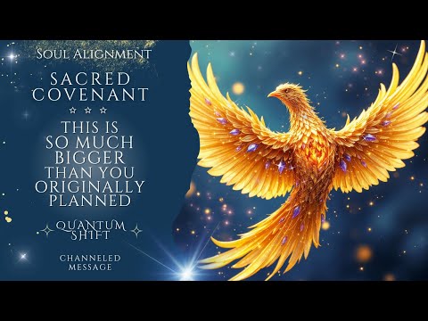 You’re Being INVITED Into A Sacred Contract — This Was The Truth All Along… 