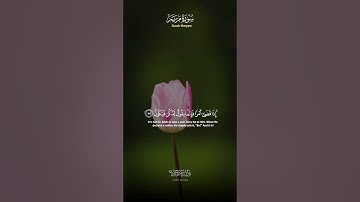 سورة مريم تلاوة آيات تلامس القلوب وتبعث السكينة والراحة النفسية | Surah Maryam Touching Quranic Re