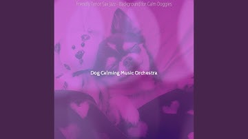 Pulsating Ambience for Calming Your Dog