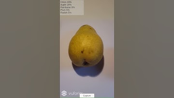 Food vision prototype v1