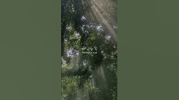 ما اصاب من مصيبة الا باذن الله ومن يؤمن بالله يهد قلبه | سورة التغابن | #قرآن