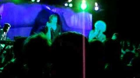 The Blood Brothers - Trash Flavored Trash