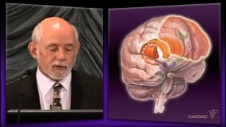 The Neuroanatomy of ADHD and thus how to treat ADHD - CADDAC - Dr Russel Barkley part 1b