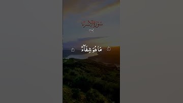 🌿 شفاء القلوب بتلاوة خاشعة | وننزل من القرآن ما هو شفاء ورحمة للمؤمنين