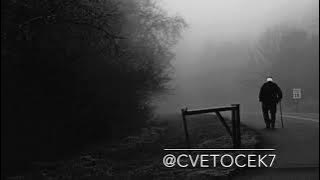 Cvetocek7 - Bawe min (cover Mejrum Suleymanov)