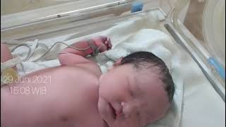 Buah Hatiku - Ada Band #Aqiqah Haura Alfina Lubis #PelangiAqiqahBandung