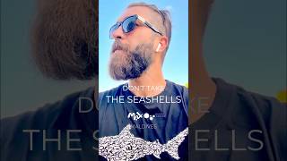Celebrity Why shouldn’t we take seashells? Net Worth