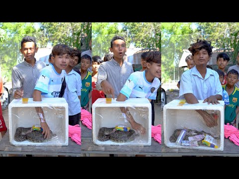 ហ្គេមចាប់ពស់ក្រឡាមានក្រ​ Snake​ box game challenge