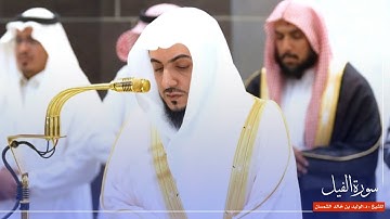 سورة الفيل للشيخ : د.الوليد الشمسان من المسجد الحرام 🕋