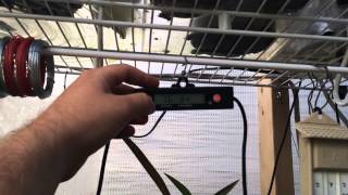 Greenhouse Cooling in hot Weather/ Tips and Tricks to cool my Greenhouse this Summer