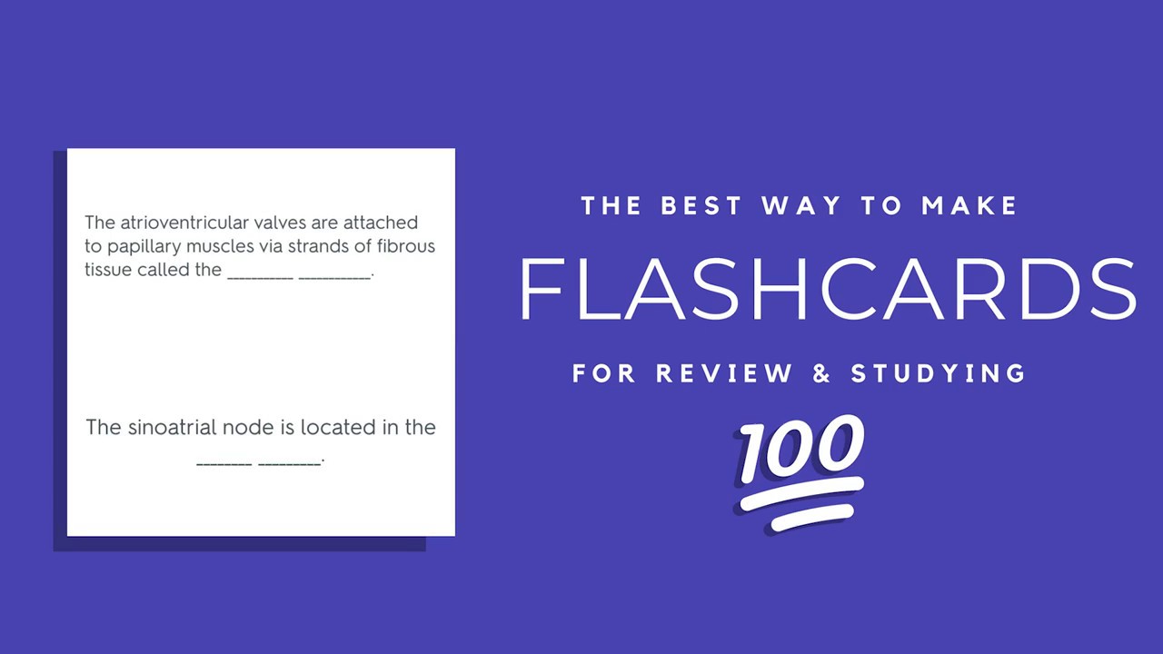 clarissa055-flashcards-best-website